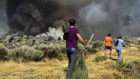 Foto&nbsp;NUNO ANDRÉ FERREIRA/LUSA