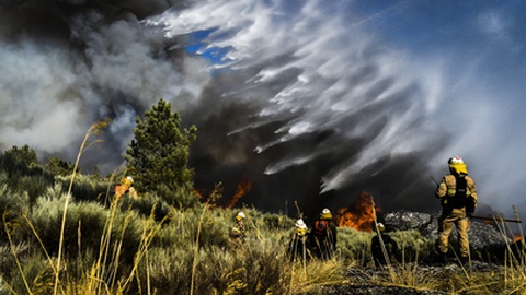 Foto&nbsp;NUNO ANDRÉ FERREIRA/LUSA