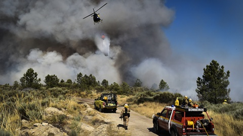 Foto&nbsp;NUNO ANDRÉ FERREIRA/LUSA