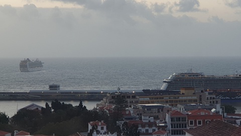 Foto&nbsp; Mafalda Camacho