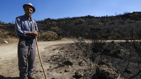 Foto Leonardo Negrão/Global Imagens