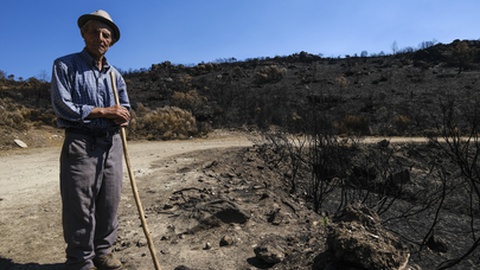 Foto Leonardo Negrão/Global Imagens