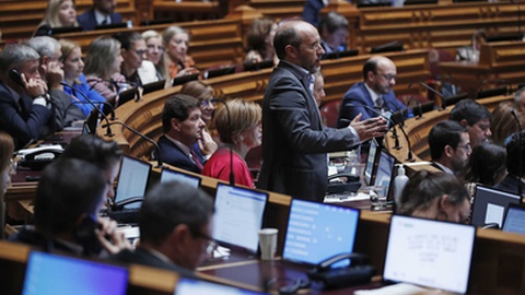 Deputado único do Livre, Rui Tavares