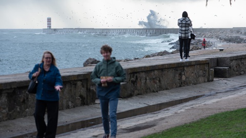 Foto&nbsp;André Rolo/Global Imagens