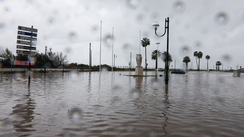 Foto&nbsp;LUÍS FORRA/LUSA