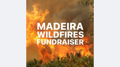 Foto DR/Madeira Friends