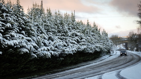 Foto&nbsp;PEDRO SARMENTO COSTA/LUSA