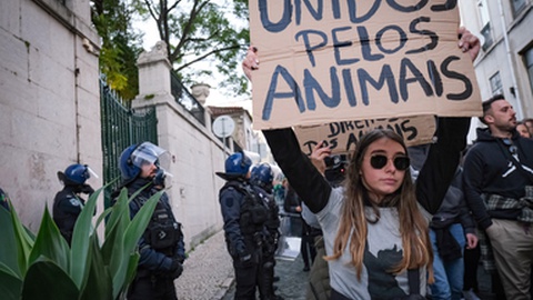 Foto RUI MINDERICO/LUSA