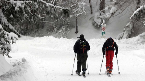 Foto&nbsp;EPA/Grzegorz Momot
