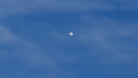 FOTO NELL REDMOND/EPA