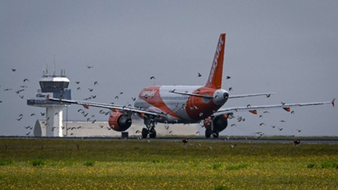 Foto&nbsp;PATRICIA DE MELO MOREIRA/AFP