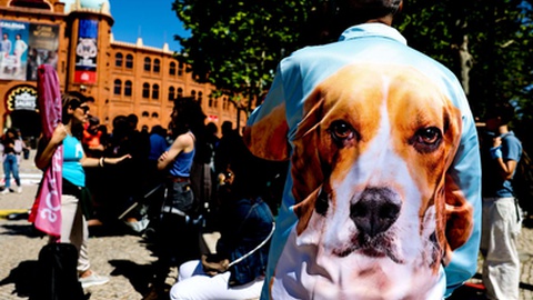 Fotos Tiago Petinga/Lusa/Rita Chantre/Global Imagens