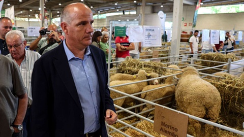 Foto&nbsp;NUNO VEIGA/LUSA