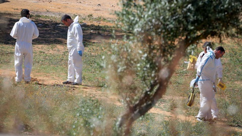 Elementos da policia investigam um tiroteio na zona da Bela Vista, em Setúbal, que provocou esta madrugada quatro mortos, uma das quais terá sido o autor dos disparos, no bairro Azul, Setúbal. FOTO RUI MINDERICO/LUSA