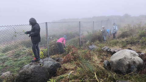Fotos DR/Associação dos Amigos do Parque Ecológico do Funchal