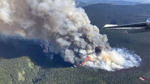 Foto&nbsp;BC Wildfire Service/AFP