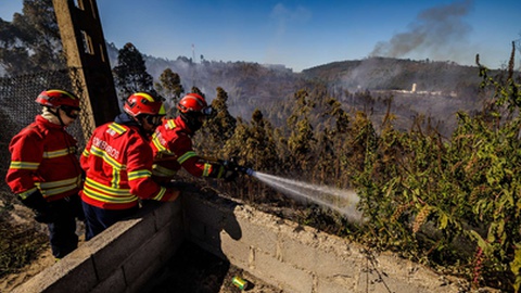 Foto&nbsp;Miguel Pereira/Global Imagens