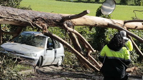 Foto&nbsp;Amin Chaar / Global Imagens