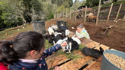 Foto DR/Quinta da Caldeira/Facebook