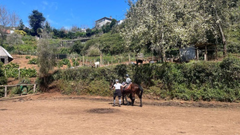 Foto DR/Quinta da Caldeira/Facebook