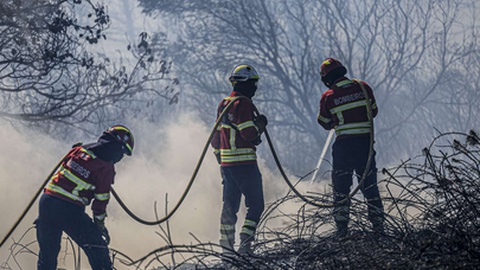 Foto&nbsp;Reinaldo Rodrigues/Global Imagens