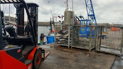 Fotografia de apreensão de 250 quilos de atum patudo, realizada no início de Junho, na ilha de Santa Maria.&nbsp; &nbsp;Foto Arquivo/GNR/Facebook