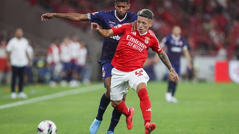 Foto&nbsp;Pedro Rocha