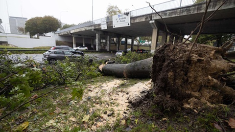 Foto Arquivo/Pedro Correia