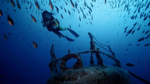 Fotos Benefit Sucess