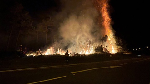 O fogo lavra junto à Via Expresso. Foto e Vídeo: Eugénio Perregil