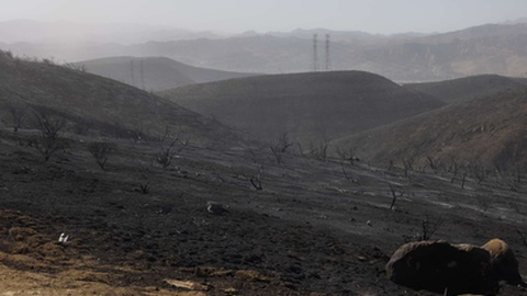 Foto&nbsp;EPA/CAROLINE BREHMAN