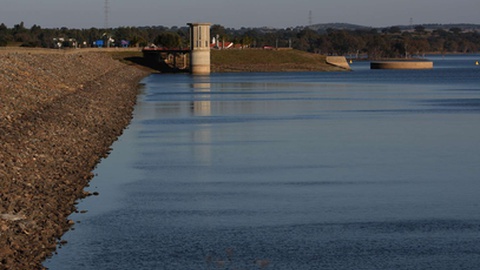 Fotografia tirada a 10 de Fevereiro de 2012.&nbsp; &nbsp;Foto&nbsp;Steven Governo/Global Imagens