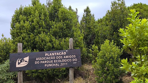 A Associação dos Amigos do Parque Ecológico do Funchal foi criada a&nbsp;11 de Julho de 1996.