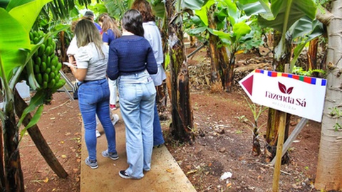 Foto Clube Desportivo Infante