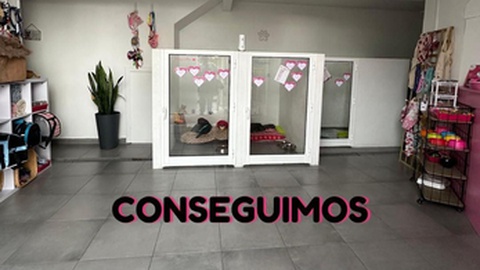 Fotos DR/Ajuda a Alimentar Cães