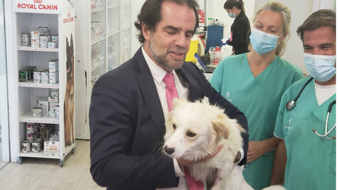 Miguel Albuquerque adoptou Lucky.