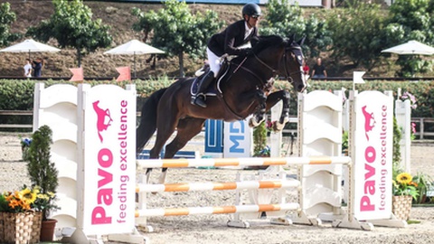 Foto DR/Facebook/Carolina Fontes