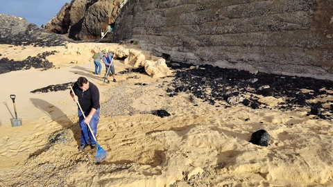 Trabalhos de limpeza estão a ser realizados por funcionários públicos afectos ao&nbsp;Gabinete da Administração Pública Regional no Porto Santo.