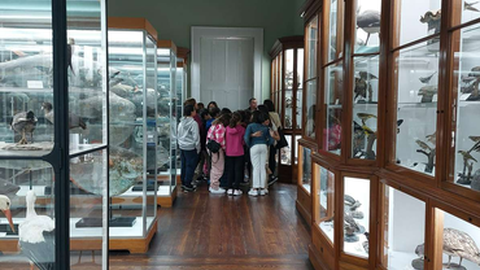 Foto DR/Museu de História Natural do Funchal/CMF/Facebook