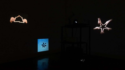 Continua em exibição a exposição 'O Desfazer do Tempo', que reúne investigações de Nicolás Paris, Baldios Arquitectos Paisagistas e Paulo David Arquitectos.&nbsp;