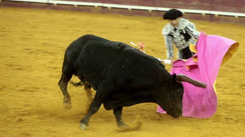 Foto Joana Bourgard/Jornal de Notícias