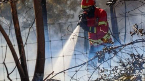 Foto Filipe Amorim/Lusa