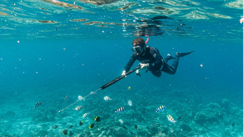 Foto gerada por IA/Shutterstock