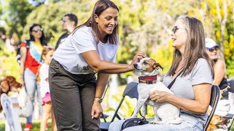 Autarquia assinalou hoje o Dia Mundial do Animal e do Médico Veterinário com diversas iniciativas&nbsp;