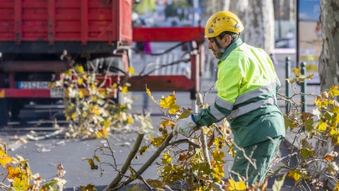 Foto CMF/André Ferreira