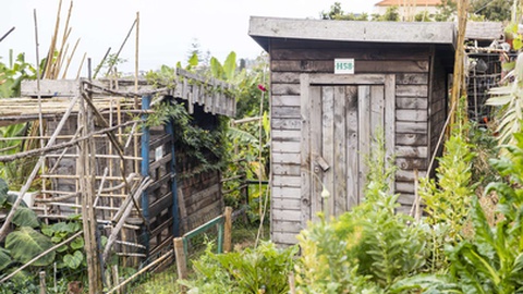 Foto André Ferreira/CMF