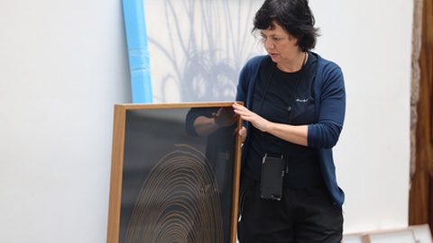 Exposição de Teresa Gonçalves Lobo, 'Da Raiz ao Núcleo', foi inaugurada na Assembleia Legislativa da Madeira.&nbsp;