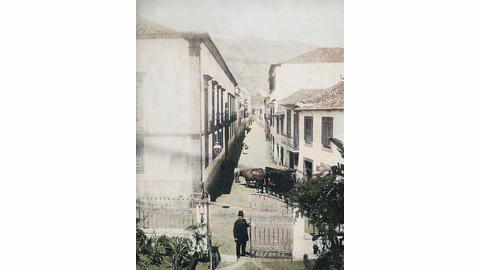 Vista da rua dos Netos tirada do edifício onde esteve Clube Funchalense, atualmente propriedade do Externato da Apresentação de Maria, vendo-se em primeiro plano um vetusto palacete de portão armoriado, hoje desaparecido, onde poderá ter vivido Júlia de França Neto. Original da década de 1880, de autor desconhecido, colorido com recurso a inteligência artificial.