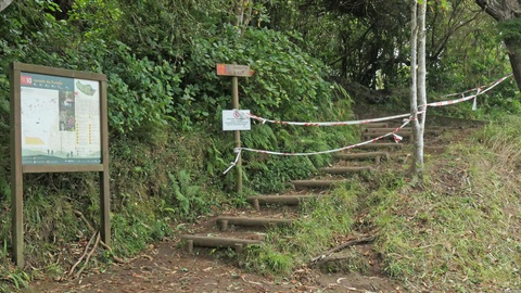 O trilho que liga a Portela ao Ribeiro Frio foi um dos que esteve mais tempo encerrado. Na passada sexta-feira o percurso já reabriu um público.&nbsp;