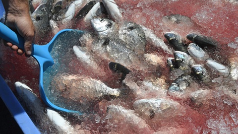 Foto Arquivo/Helder Santos/Aspress